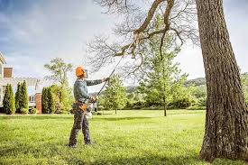 Collierville, TN Tree Services Company